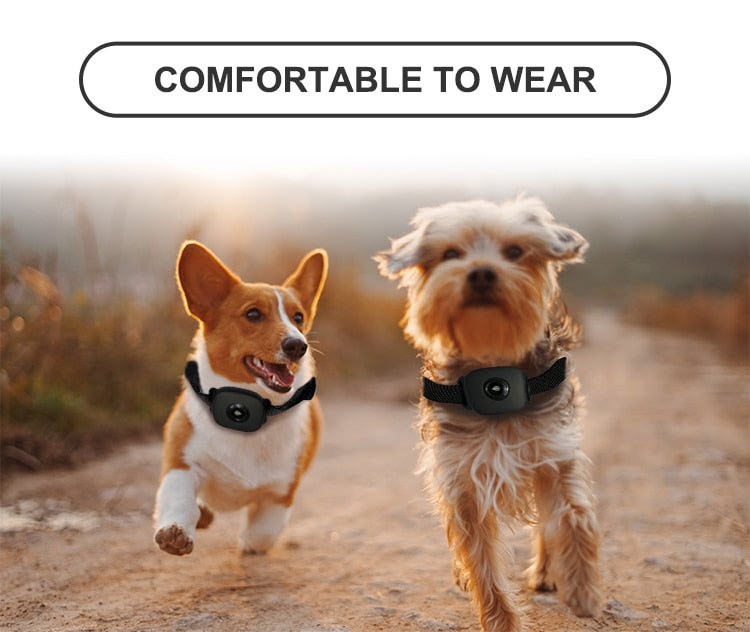 Waterproof 4G Pet GPS Tracker Dog GPS Tracking Collar Mini Anti-Lost Alarm Cat Locator Smart Tracking Device Long Standby SOS