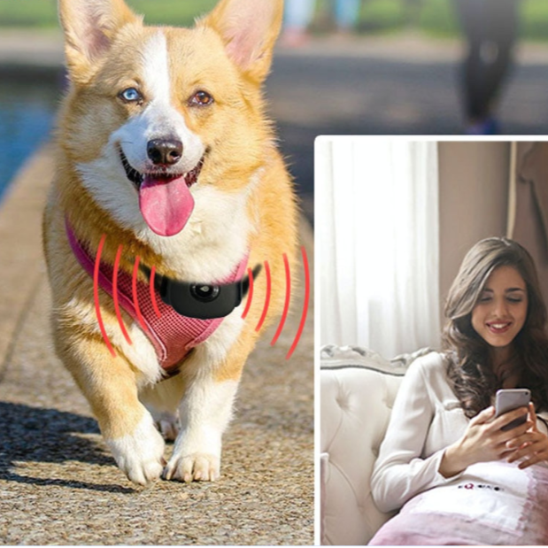 Waterproof 4G Pet GPS Tracker Dog GPS Tracking Collar Mini Anti-Lost Alarm Cat Locator Smart Tracking Device Long Standby SOS