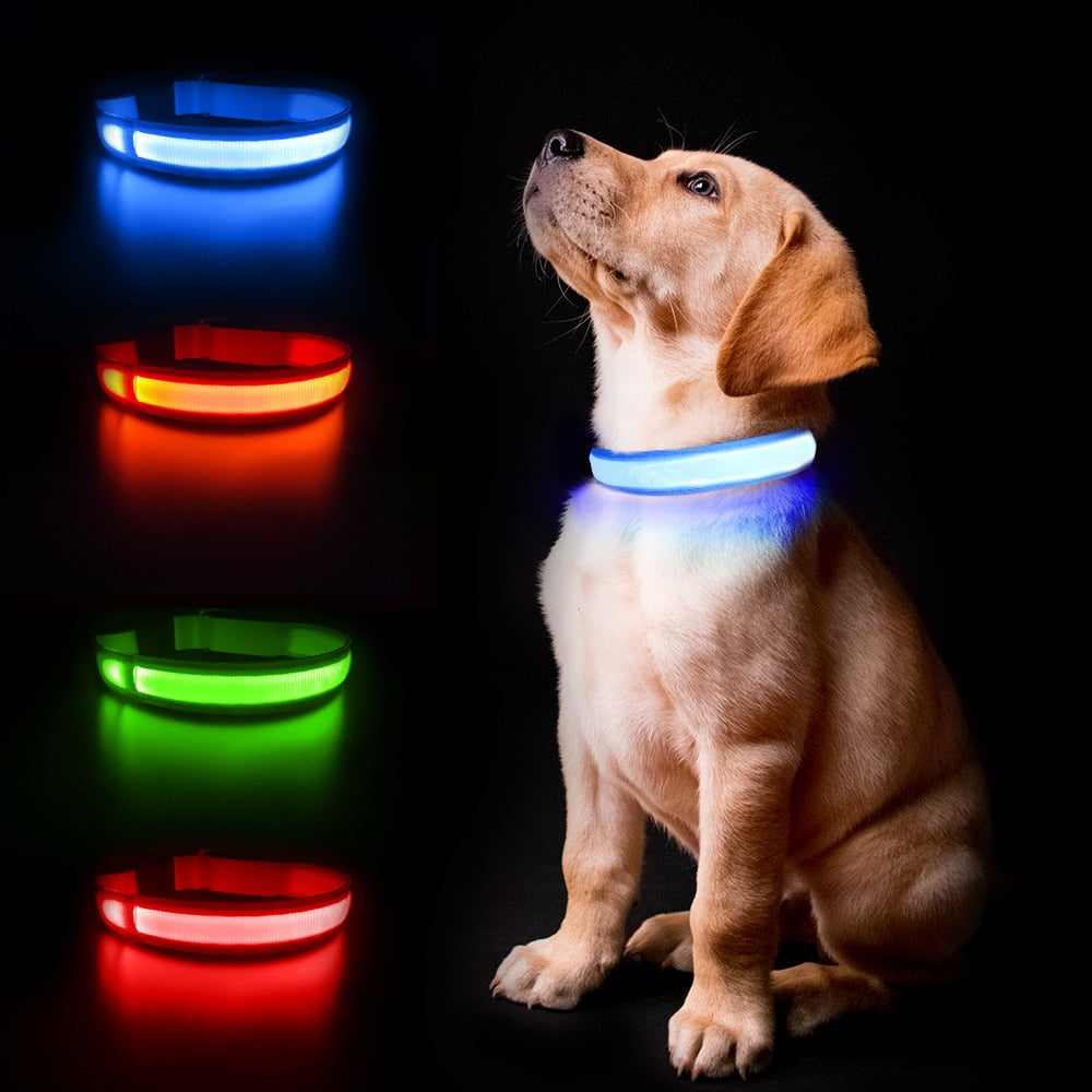 Dog Collar Luminous Pet Supplies Dog Collar Waterpoof