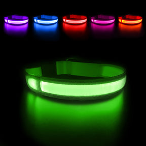 Dog Collar Luminous Pet Supplies Dog Collar Waterpoof