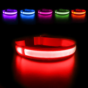 Dog Collar Luminous Pet Supplies Dog Collar Waterpoof