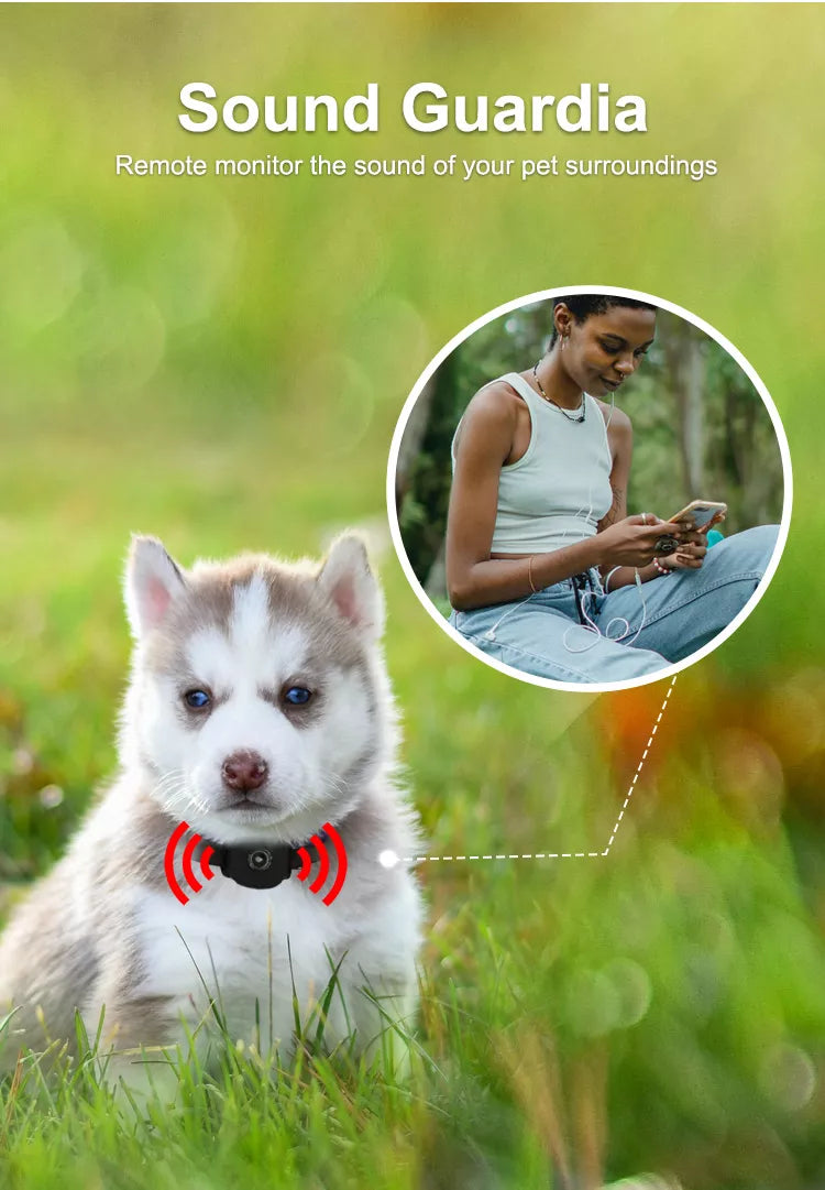 Waterproof 4G Pet GPS Tracker Dog GPS Tracking Collar Mini Anti-Lost Alarm Cat Locator Smart Tracking Device Long Standby SOS