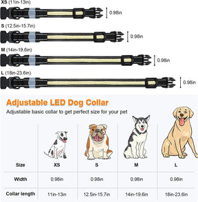 DE-TECH PET FA29 BUNDLE PACK WITH LED COLLAR & 1 FREE MONTH TRIAL